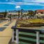Port Elizabeth flights