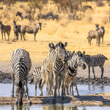 Rundu Mahangu Game Reserve