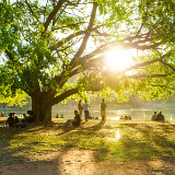 Sao Paulo Ibirapuera Park