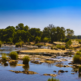 Skukuza Sabie River