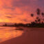 Sri Lanka flights