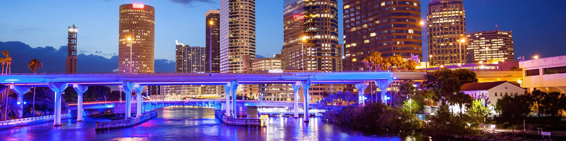 Tampa flights