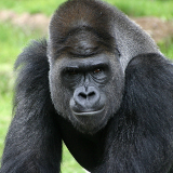 Texas Fort Worth Zoo