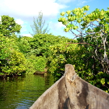 Toliara Honko Community-Based Mangrove Reserve