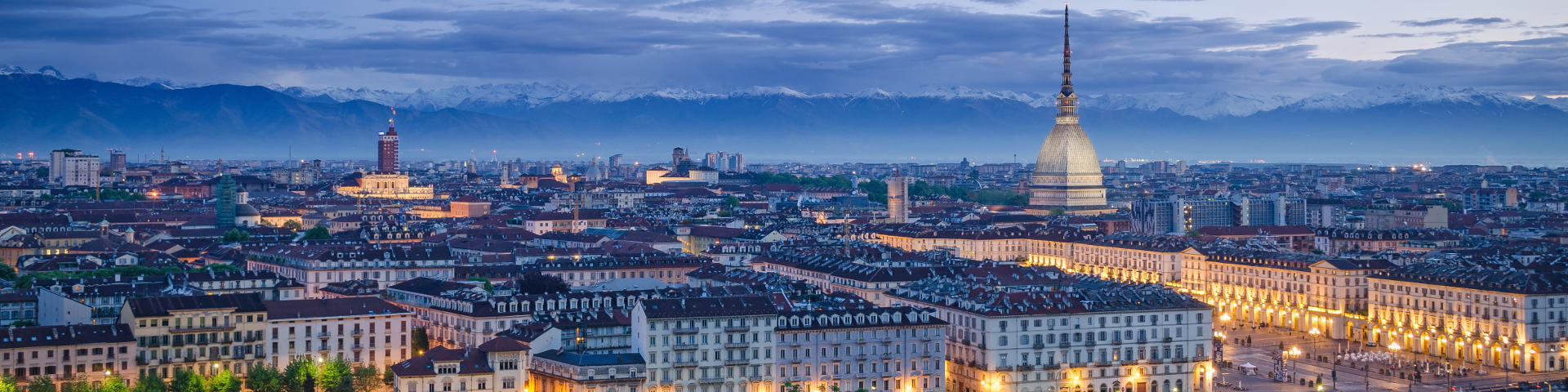 Turin flights