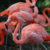 Vienna National Zoo