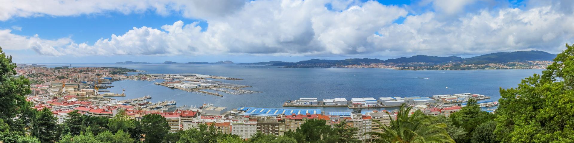 Vigo flights