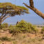Wajir flights