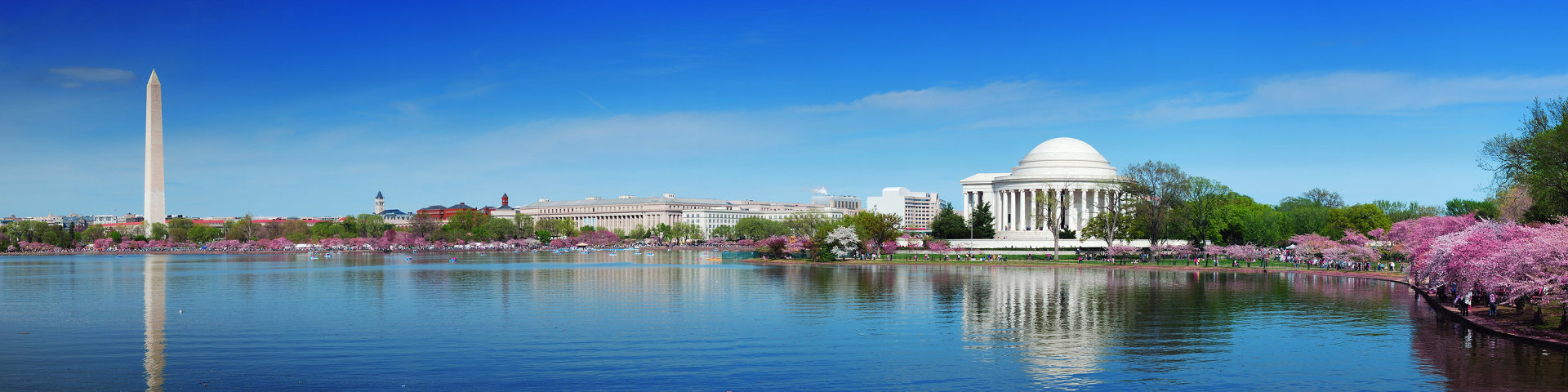 Washington DC flights