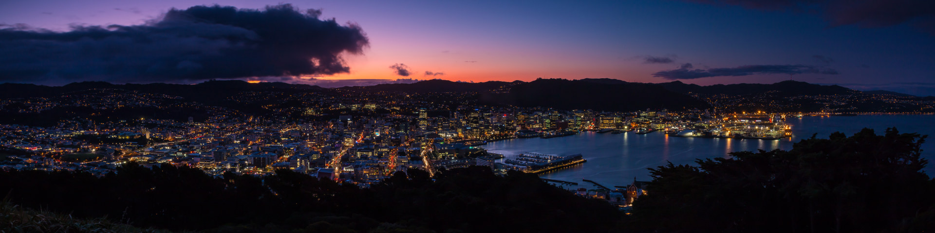 Wellington flights