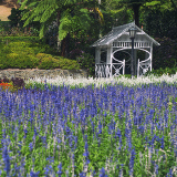 Wellington Wellington Botanic Garden