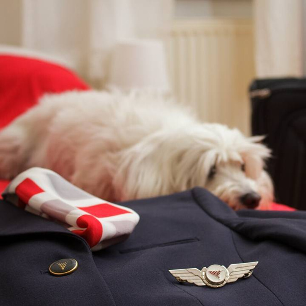 Croatia Airlines Croatia air pets
