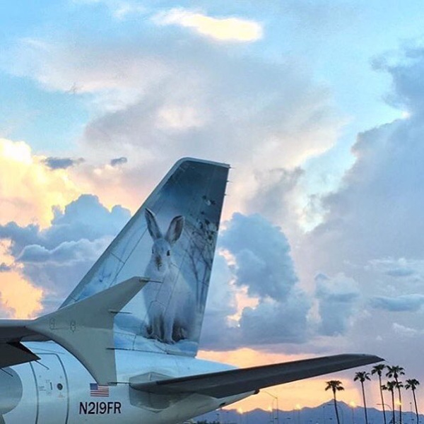 Frontier Airlines Frontier tail