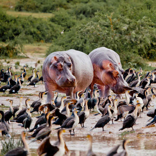 Abidjan nature reserves