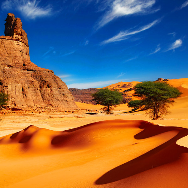 Algeria algeria sahara desert