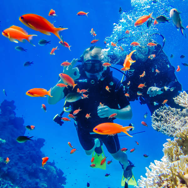 Aqaba aqaba-red-sea-diving