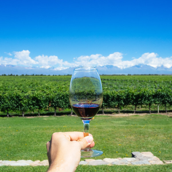 Argentina Argentina Wine