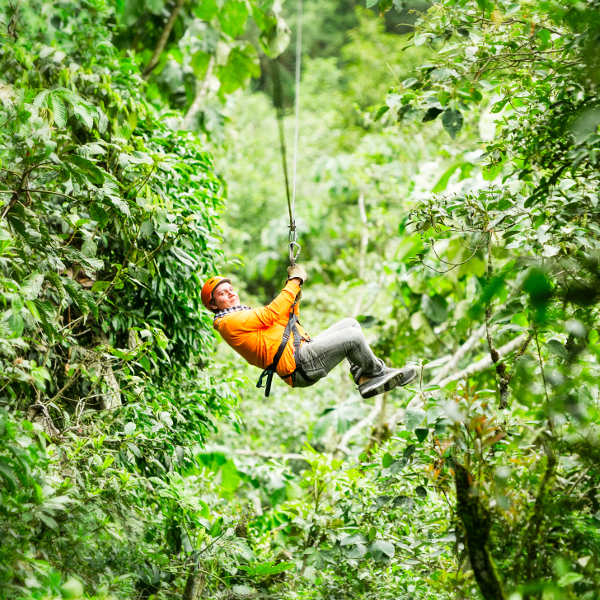 Arkansas zip lining forest
