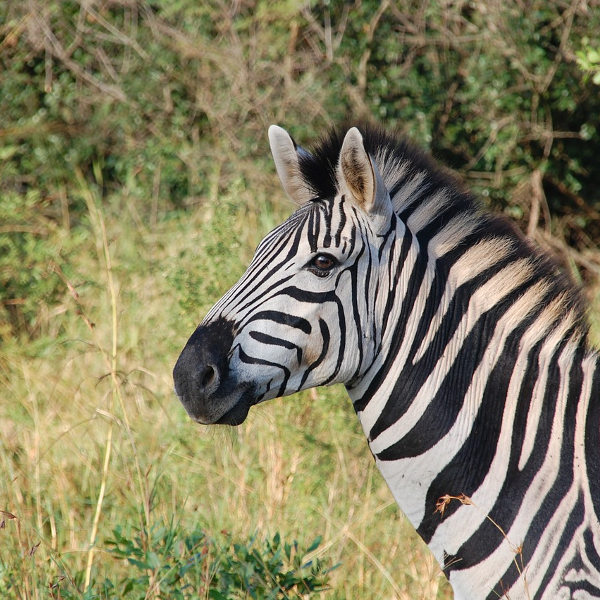 Arusha arusha_national_parks