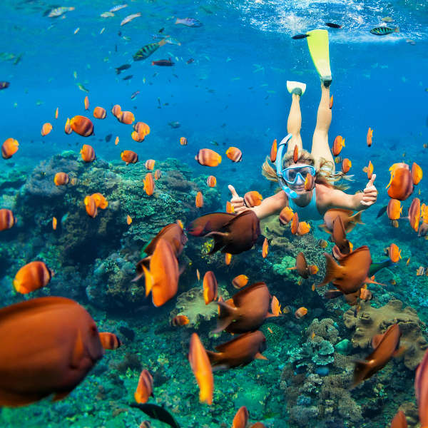 Bahamas snorkelling-bahamas-marine