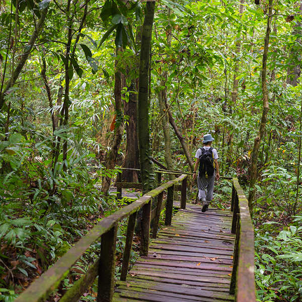 Ba'kelalan Day Trekking