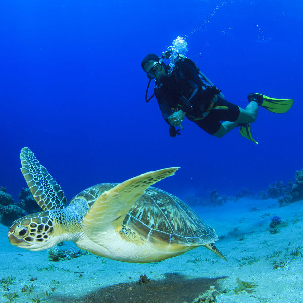 Bali outdoor adventures