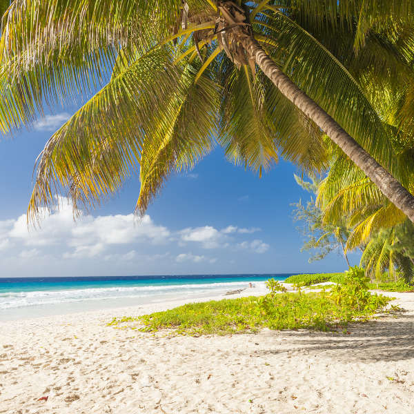 Barbados beaches-barbados-serene