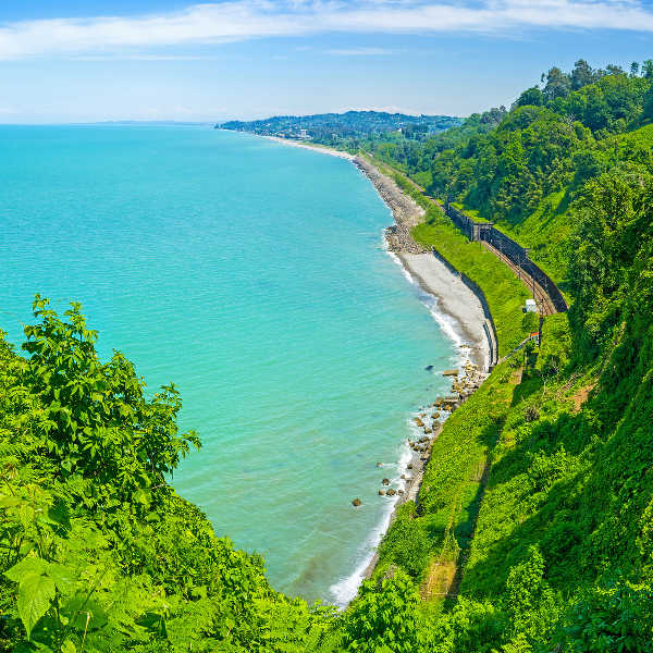 Batumi nature