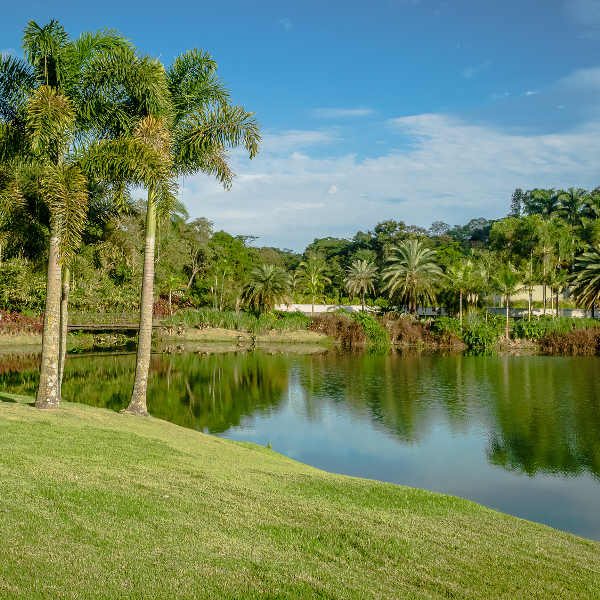 Belo Horizonte oasis of parks