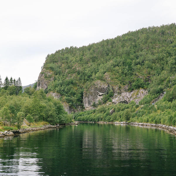 Bergen natural landscape