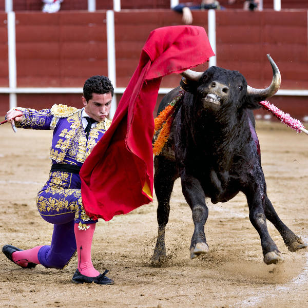 Bilbao matador bullfighting bull