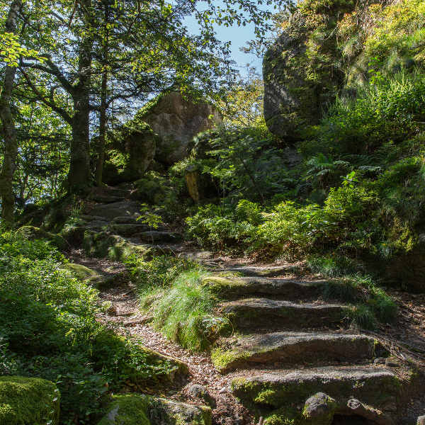 Bismarck bismarck-nature-reserve