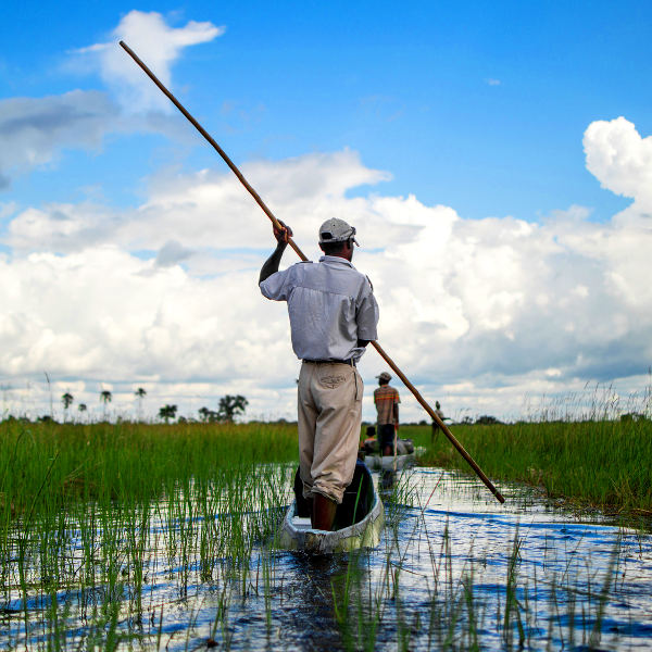 Botswana botswana untamed landscapes