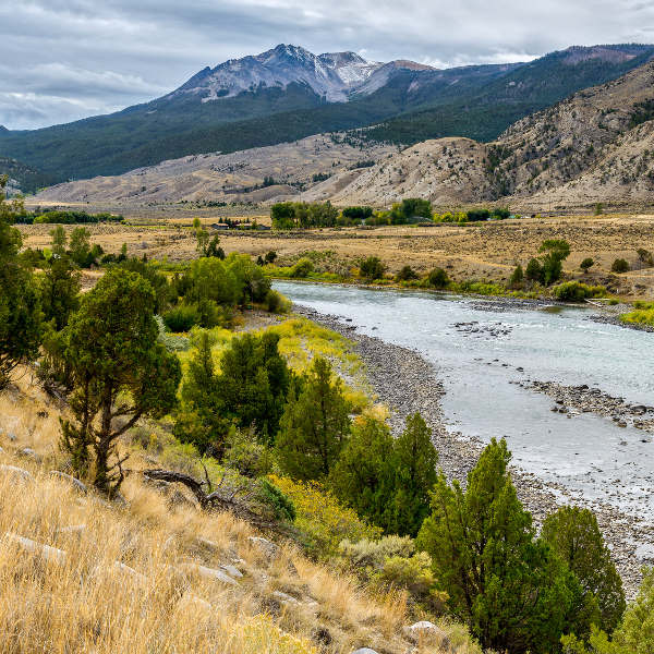 Bozeman Yellowstone National Park Bozeman