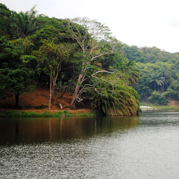 Brazzaville brazzaville outdoors