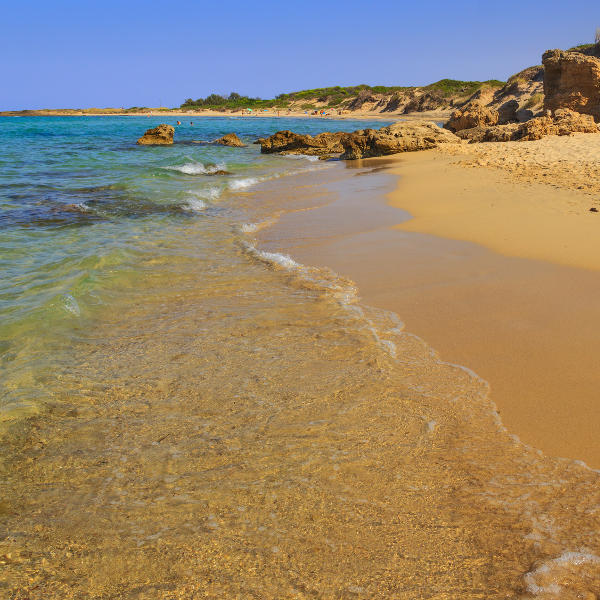 Brindisi brindisi beach in nature reserve