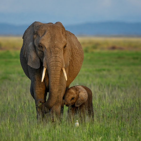 Burundi wild-nature-burundi