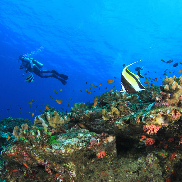 Cairns adventure sports