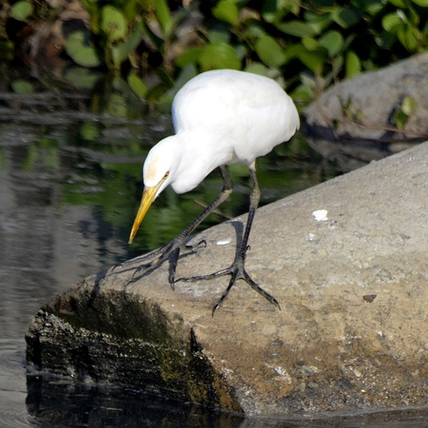 Calicut (Kozikhode) Exotic Nature