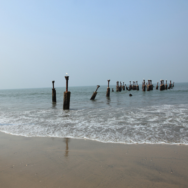 Calicut (Kozikhode) Pristine Beaches