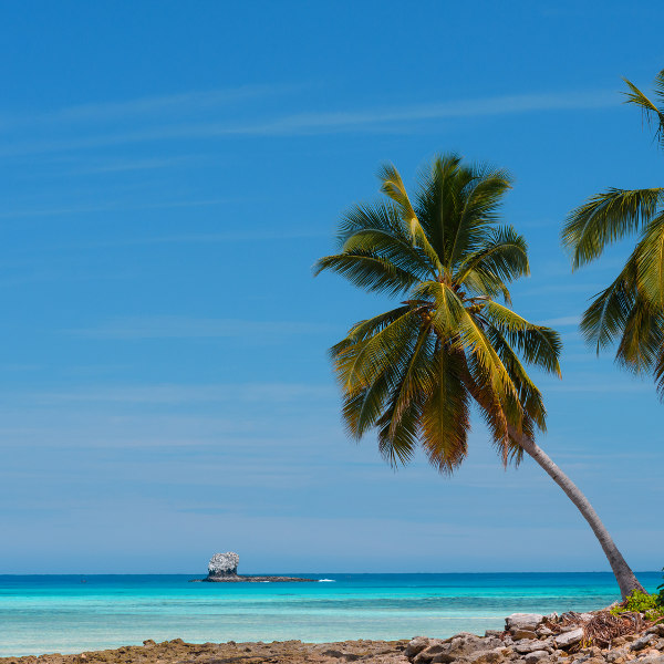 Camagüey palm tree beach