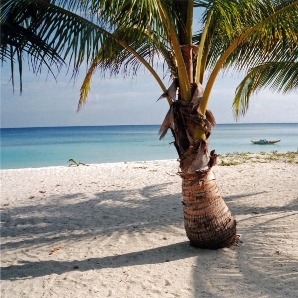 Cebu Beach Island Experience Cebu