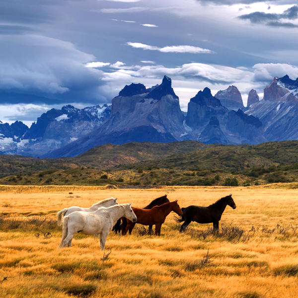 Chile chile wild landscapes