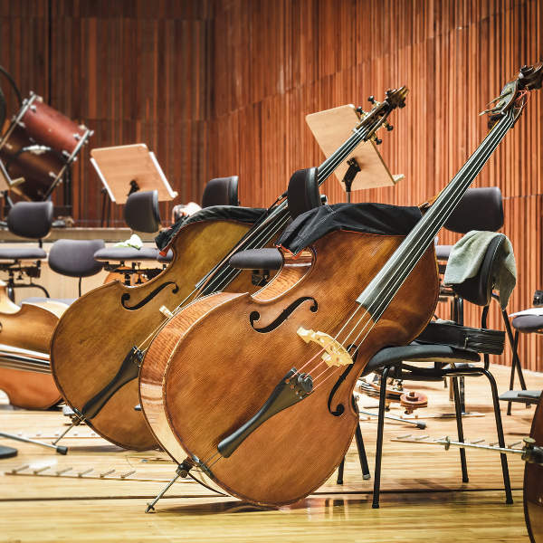 Cleveland cello music room