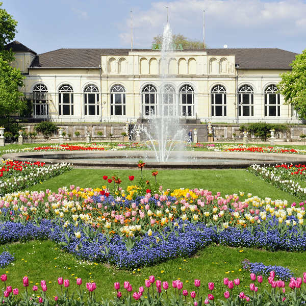 Cologne water fountain plants
