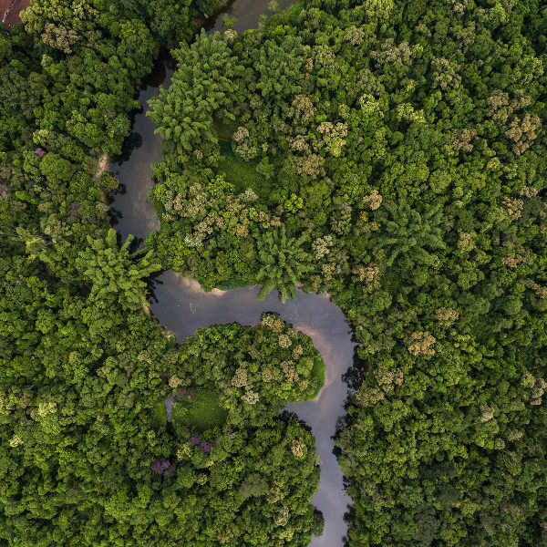 Colombia amazon river