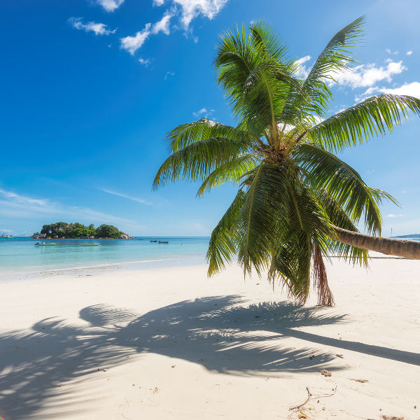 Comoros comoros-beaches
