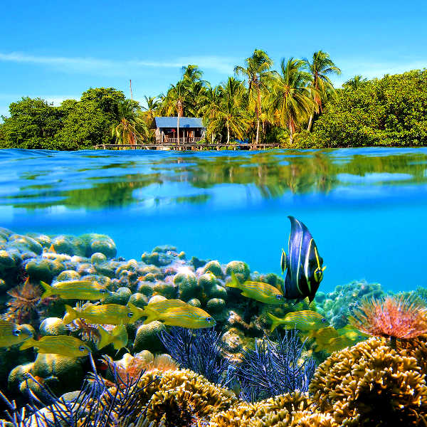 Costa Rica costa rica exhilarating adventures