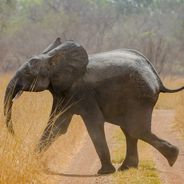 Cotonou nearby attractions