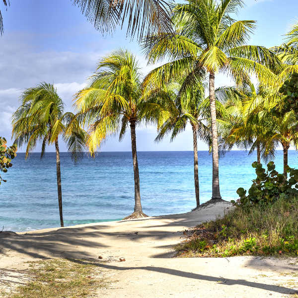 Cuba tropical beach